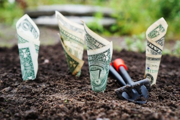 Assicurare l'azienda: costo o investimento